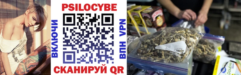 Купить где  Горняк  Псилоцибиновые грибы Psilocybine cubensis 